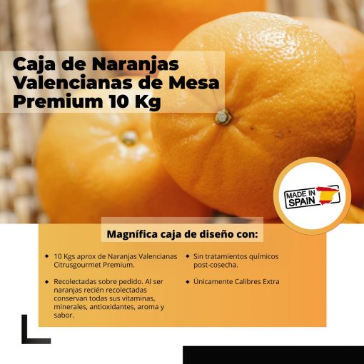 Caja de Naranjas Valencianas de Mesa Premium 10 Kg iecoo St 009