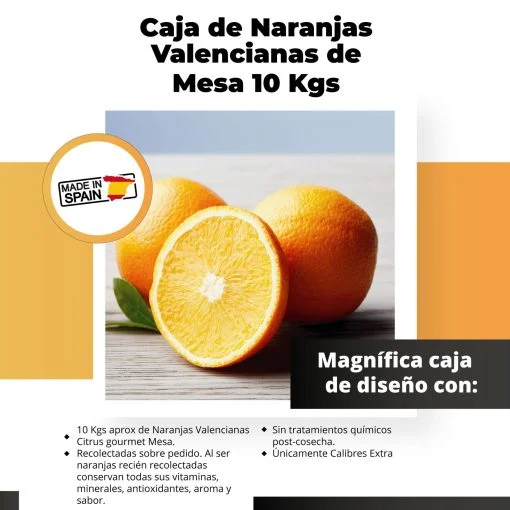 SAT CASABLANCA DE OLIVA Caja de Naranjas Valencianas de Mesa 10 Kgs iecoo St 008