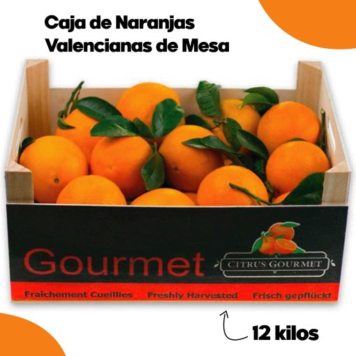 SAT CASABLANCA DE OLIVA Caja de Naranjas Valencianas de Mesa 12 Kgs iecoo St 003