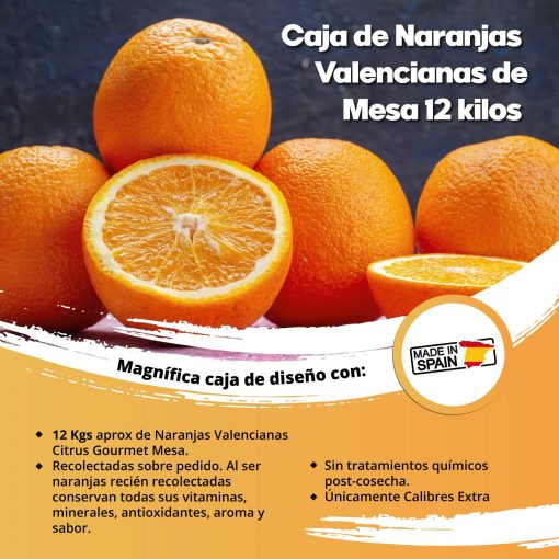 SAT CASABLANCA DE OLIVA Caja de Naranjas Valencianas de Mesa 12 Kgs iecoo St 009