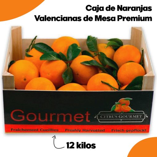 SAT CASABLANCA DE OLIVA Caja de Naranjas Valencianas de Mesa Premium 12 Kgs iecoo St 003
