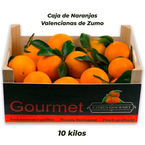 SAT CASABLANCA DE OLIVA Caja de Naranjas Valencianas de Zumo 10 Kgs iecoo St 005