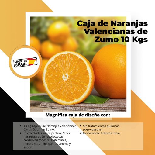 SAT CASABLANCA DE OLIVA Caja de Naranjas Valencianas de Zumo 10 Kgs iecoo St 009