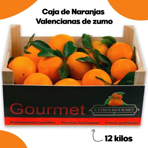 SAT CASABLANCA DE OLIVA Caja de Naranjas Valencianas de zumo 12 Kgs iecoo St 003