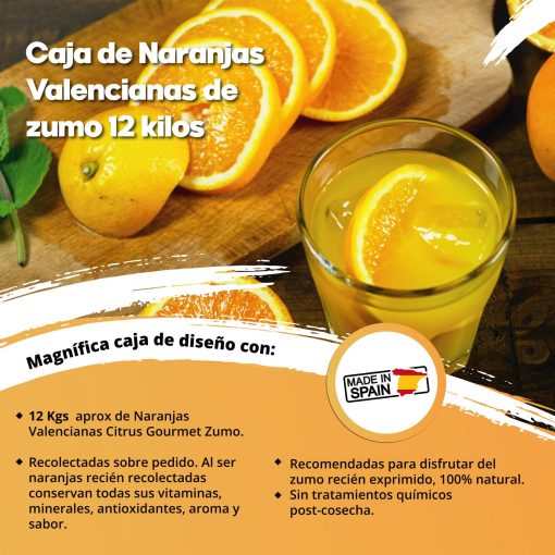 SAT CASABLANCA DE OLIVA Caja de Naranjas Valencianas de zumo 12 Kgs iecoo St 009