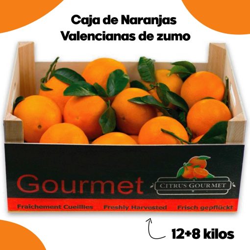 SAT CASABLANCA DE OLIVA Caja de Naranjas Valencianas de zumo 128 Kgs iecoo St 003