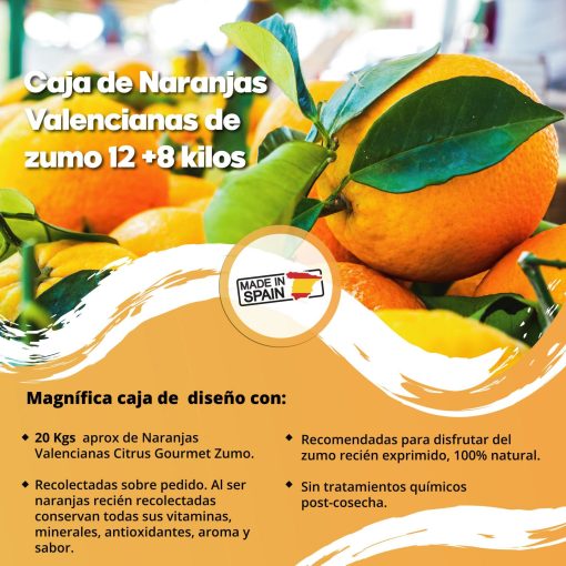 SAT CASABLANCA DE OLIVA Caja de Naranjas Valencianas de zumo 128 Kgs iecoo St 009