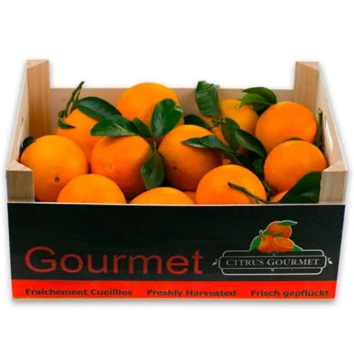 SAT CASABLANCA DE OLIVA Caja de Naranjas gourmet de valencia mesa 20 Kgs iecoo St 001