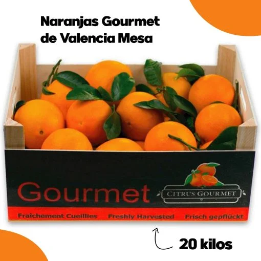 SAT CASABLANCA DE OLIVA Caja de Naranjas gourmet de valencia mesa 20 Kgs iecoo St 003