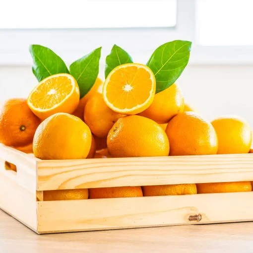 SAT CASABLANCA DE OLIVA Caja de Naranjas gourmet de valencia mesa 20 Kgs iecoo St 008