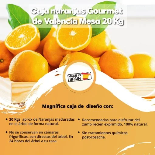 SAT CASABLANCA DE OLIVA Caja de Naranjas gourmet de valencia mesa 20 Kgs iecoo St 009