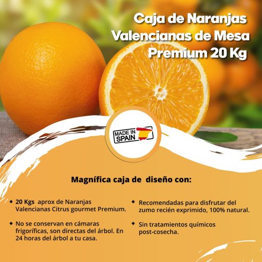 SAT CASABLANCA DE OLIVA Caja de Naranjas mesa premium 20 Kgs iecoo St 009