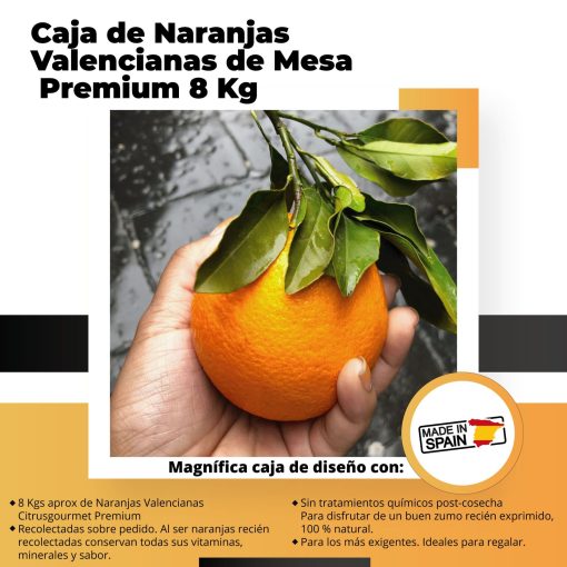 Caja de Naranjas Valencianas de Mesa Premium 8 Kg iecoo St 009