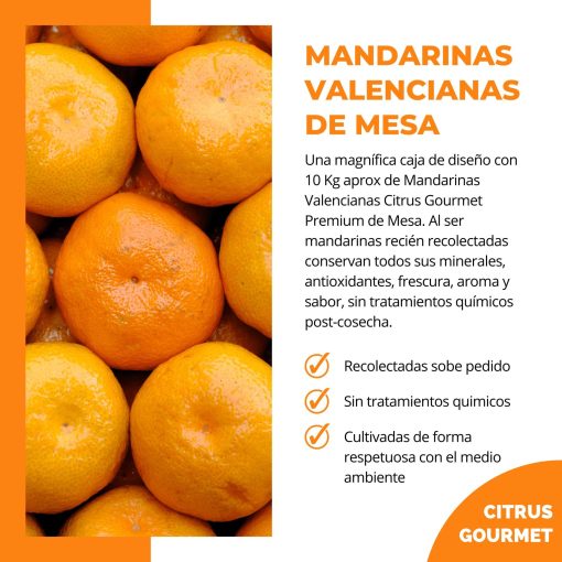 CitrusGrourmet MandarinasValenciagas 10KG Lu 0 3
