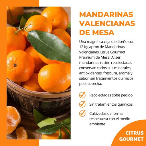 CitrusGrourmet MandarinasValenciagas 12KG Lu 004