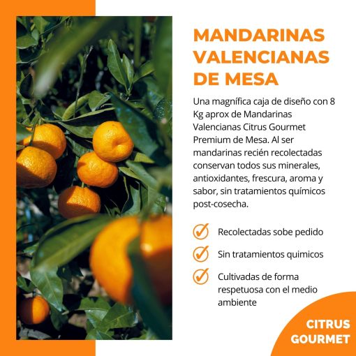 CitrusGrourmet MandarinasValenciagas 8KG Lu 002