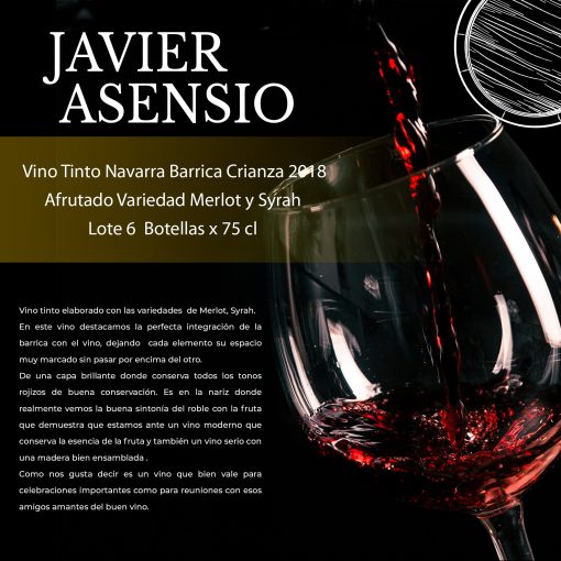 JAVIER ASENSIO Vino Tinto Navarra Lote 6 Botellas x 75 cl ST 01 1663258568