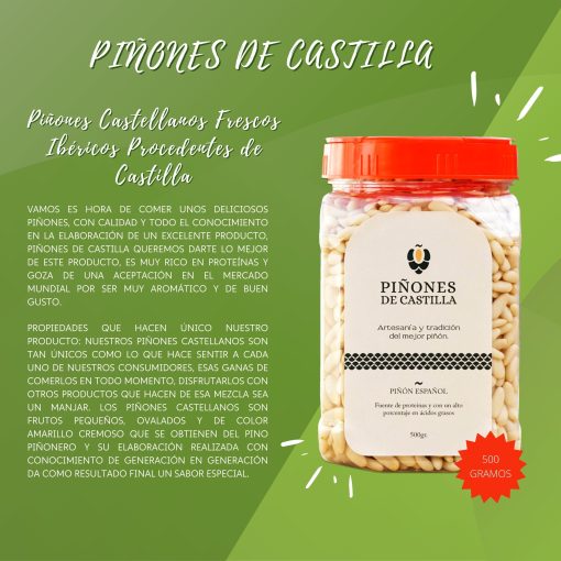 Pinones de Castilla Pinones Frescos Procedentes de Castilla Bote de 500 gramos16 1662990726