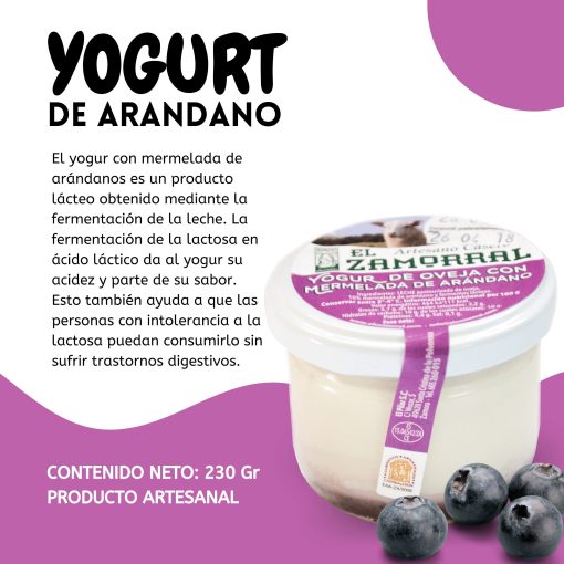 ElZamorral YogurtDeArandanos 230Gr LU 0 4 1666372807