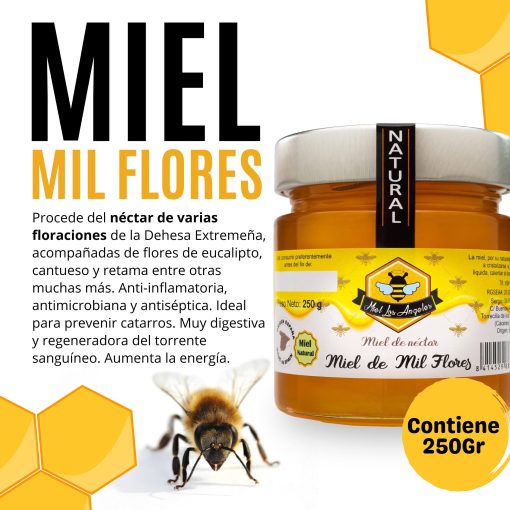 MielLosAngeles MielDeMilFlores 250GR Lu 004 1666019167