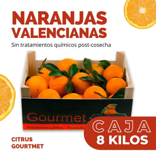 CitrusGrourmet NaranjasNaturalesValencianas 8KG Lu 002 1673382790