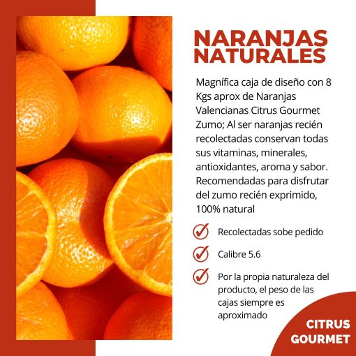 CitrusGrourmet NaranjasNaturalesValencianas 8KG Lu 003 1673382791