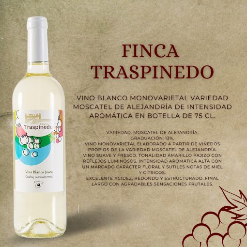 FINCA TRASPINEDO Vino Blanco Monovarietal st 04 1675187228