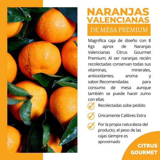 CitrusGrourmet NaranjasNaturalesValencianasDeMesa 8KG Lu 03 1680545467