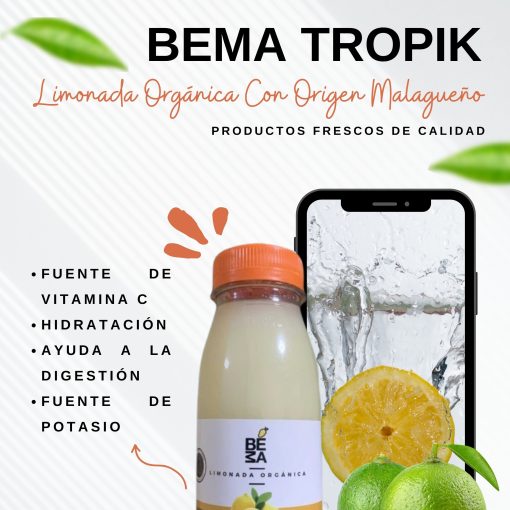 BEMA TROPIK Limonada Organica Con Origen Malagueno Pack De 6 botellas 250 ml 06 1 1 1683731989